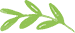 sOlac Products Logo Leaf New
